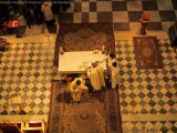 My Gallery (124/153)